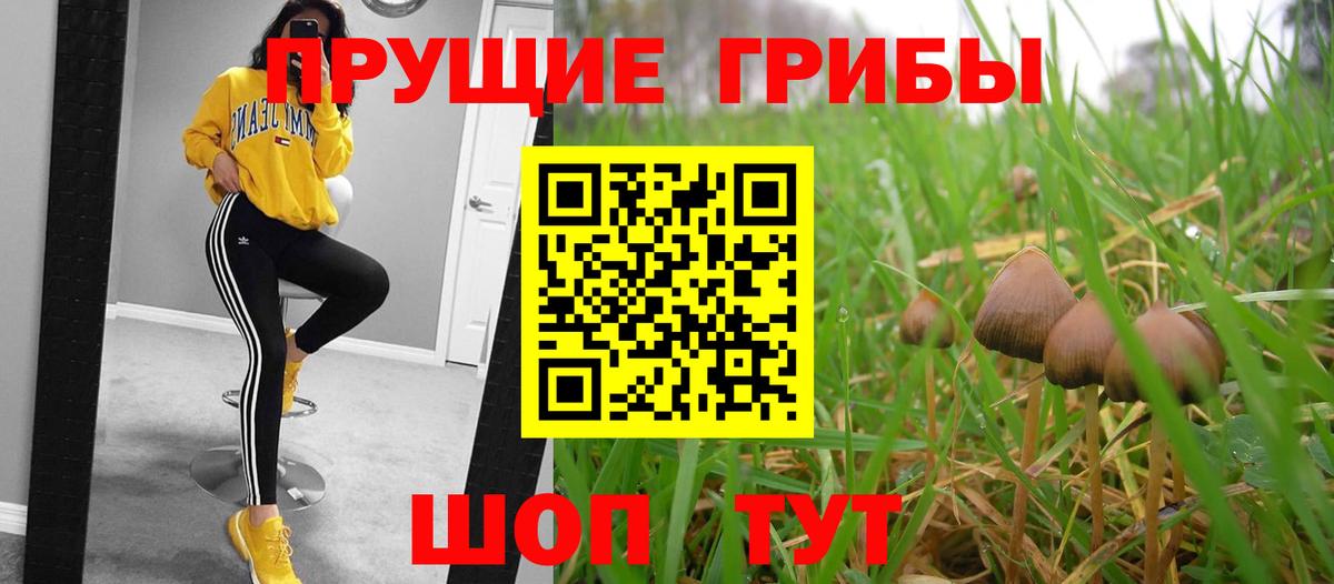Рыбинск  Галлюциногенные грибы Psilocybe  Вход с VPN 